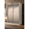 Шкаф-купе двухдверный SENAM E-Line 1700х600х2400 мм Кашемир Зеркало EШК 2.2.24.60.17.1