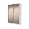 Шкаф-купе двухдверный SENAM E-Line 1700х450х2400 мм белый Зеркало EШК 2.3.24.45.17.1